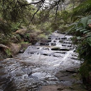 Meet your Posher, Janine